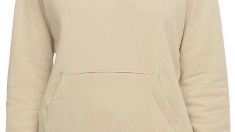 nike-sportswear-essential-women-s-fleece-pullover-hoodie-442160-bv4124-206